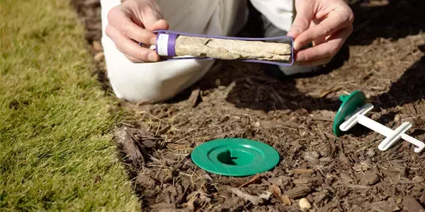 Tech checking termite bait station